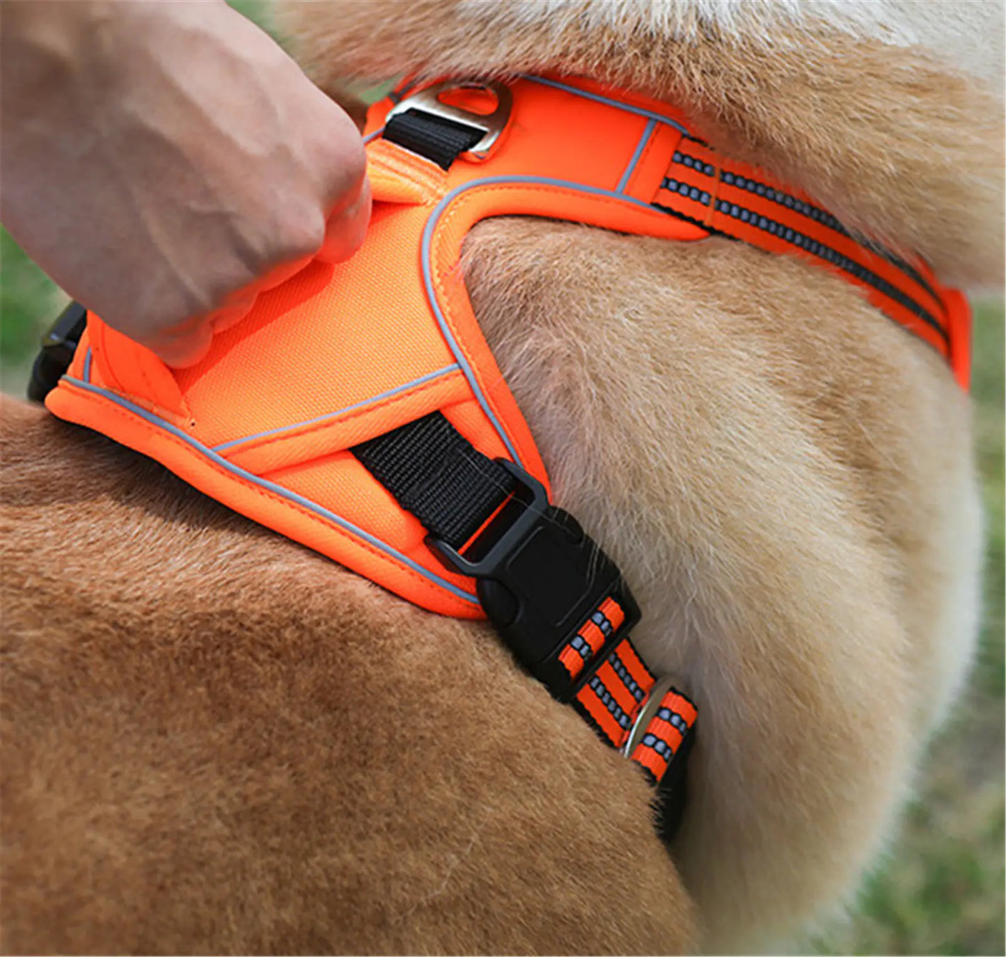 Pet Harness with Vertical Handle
