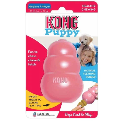 Kong Chewable Treat Dispenser