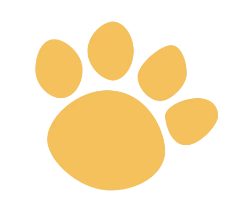 CatsnDogs